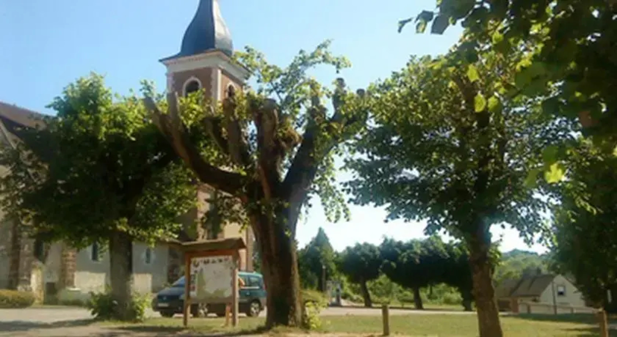 Gite et Chambres dHôtes des Galopins