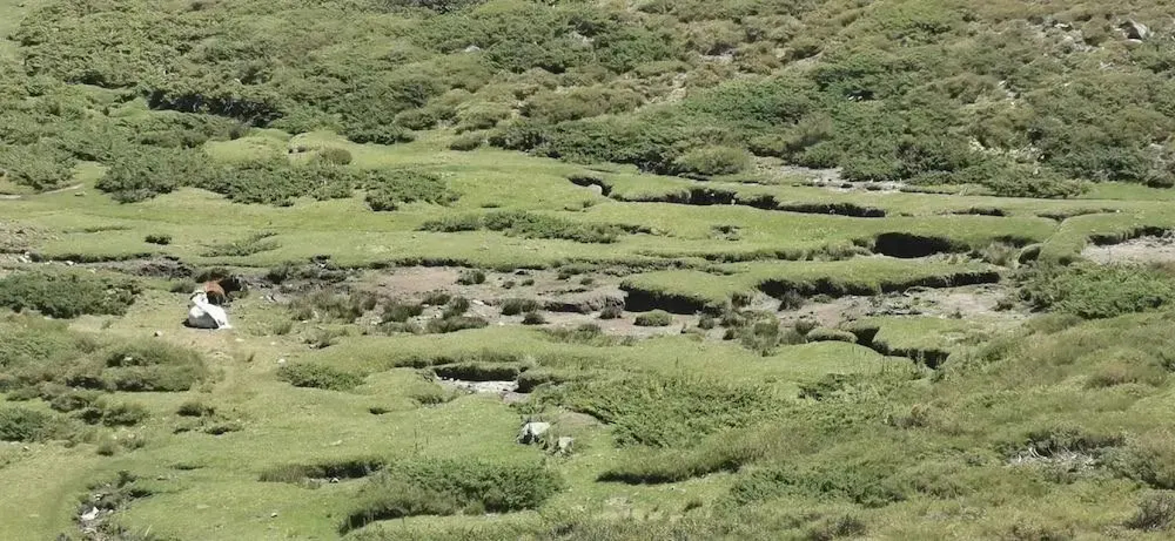 Résidence de Tourisme Mare é Macchia