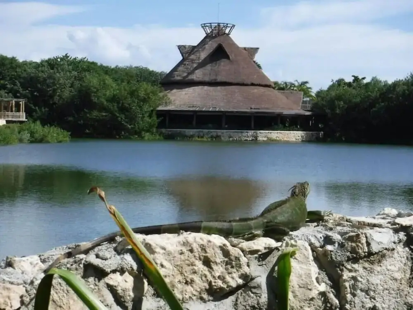 2BD Grand Bliss Vidanta Resort RM