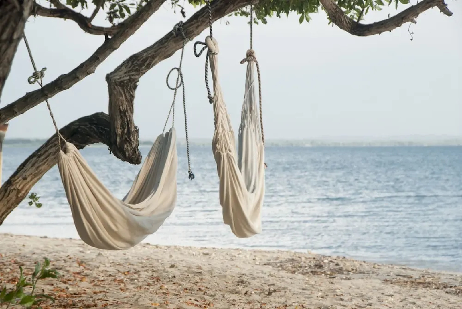 Hotel Playa Manglares Isla Barú