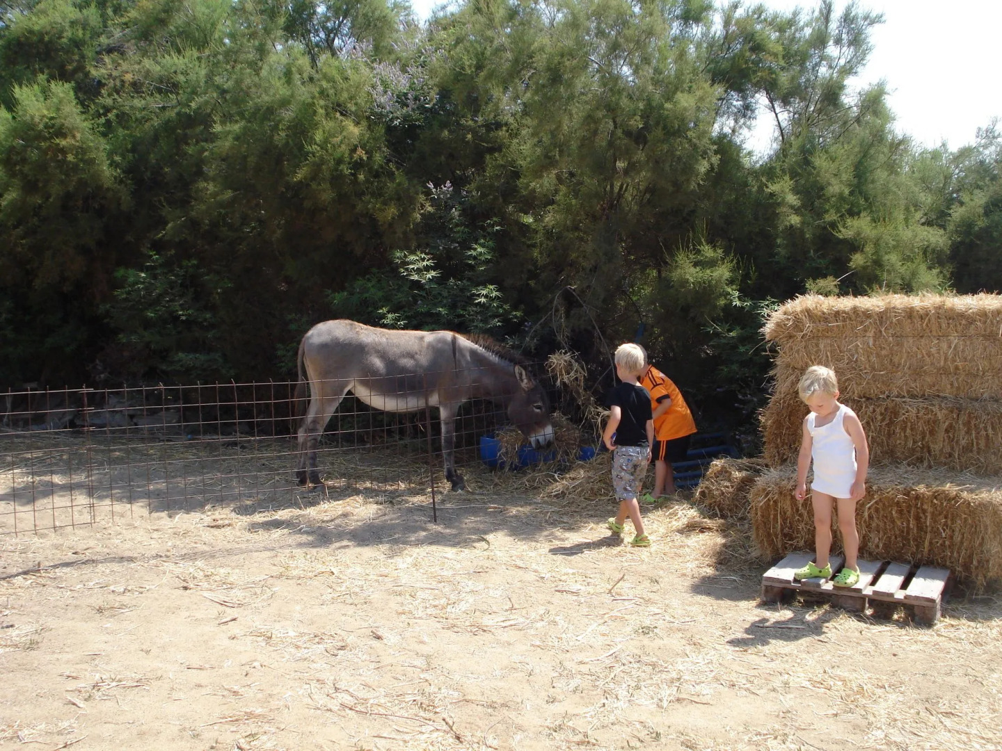 Agios Prokopios Hotel