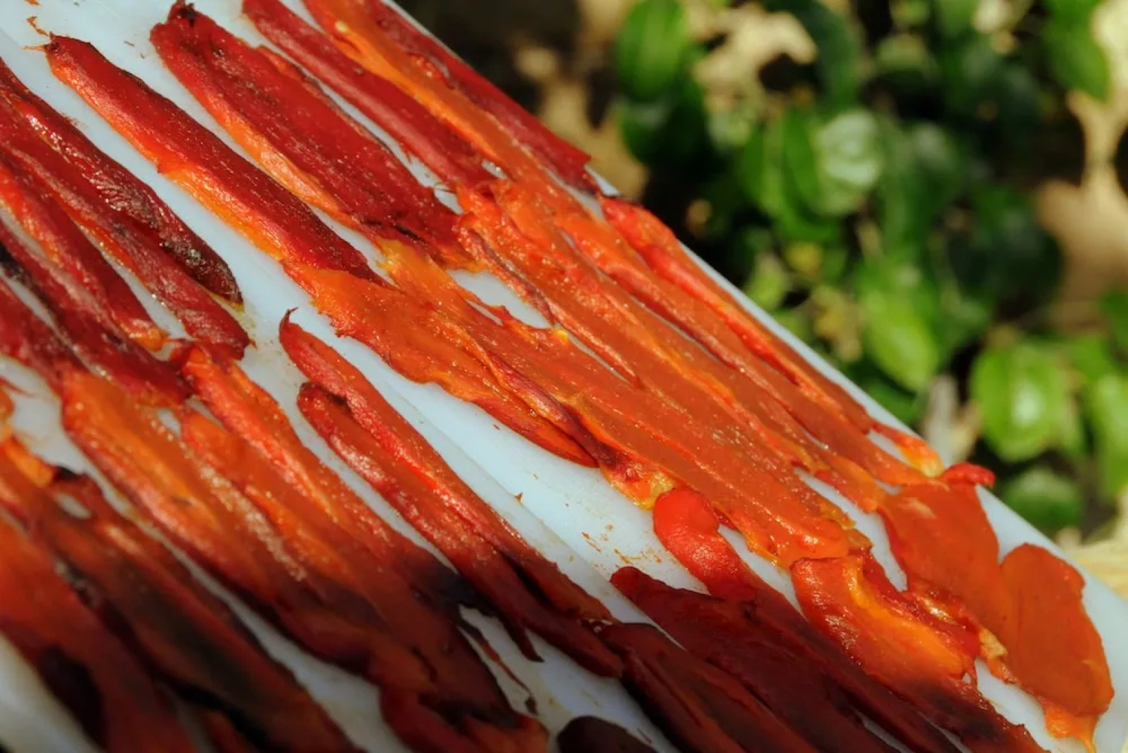 Chambres d'Hôtes Le Secret du Chat