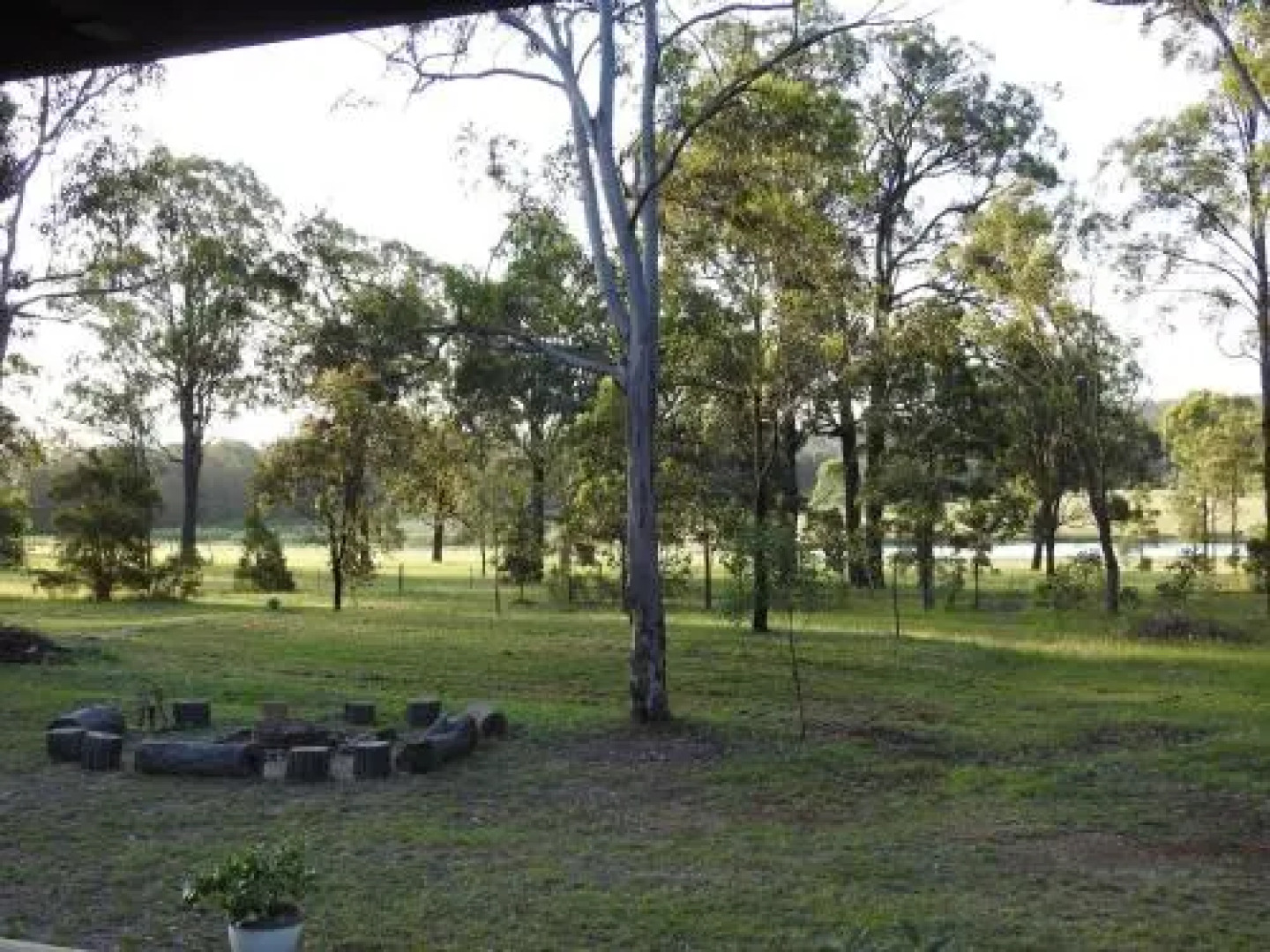Kangaroo Cottage - cute Accom in bushland setting