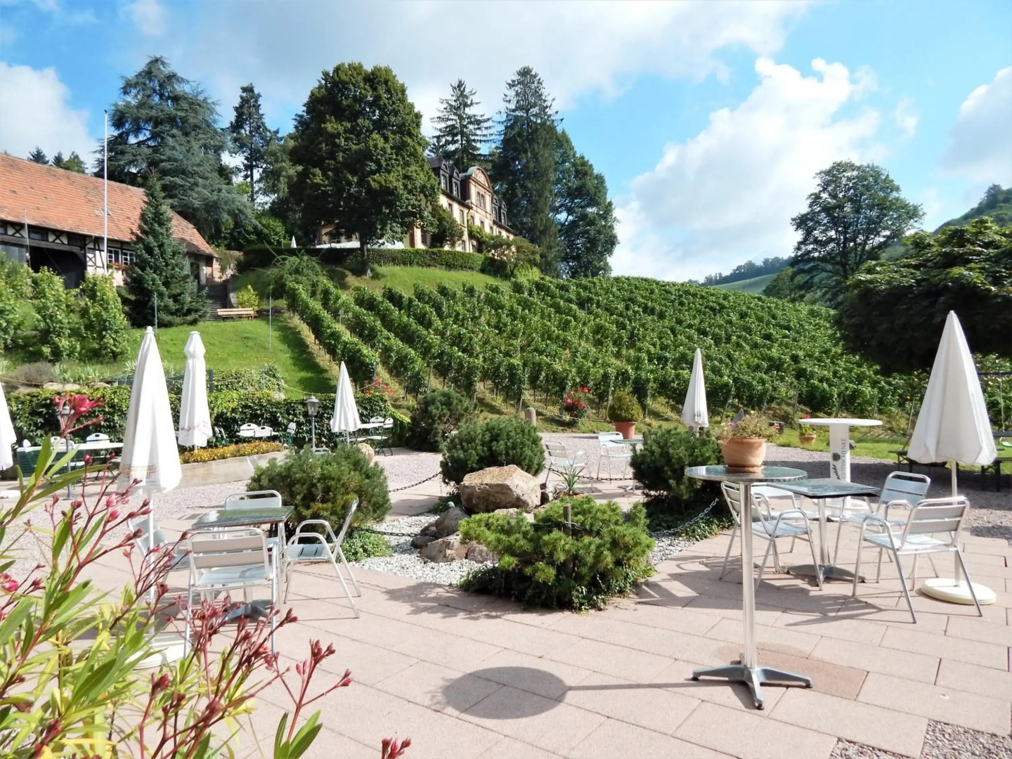 Wein Lodge Durbach - Josephsberg
