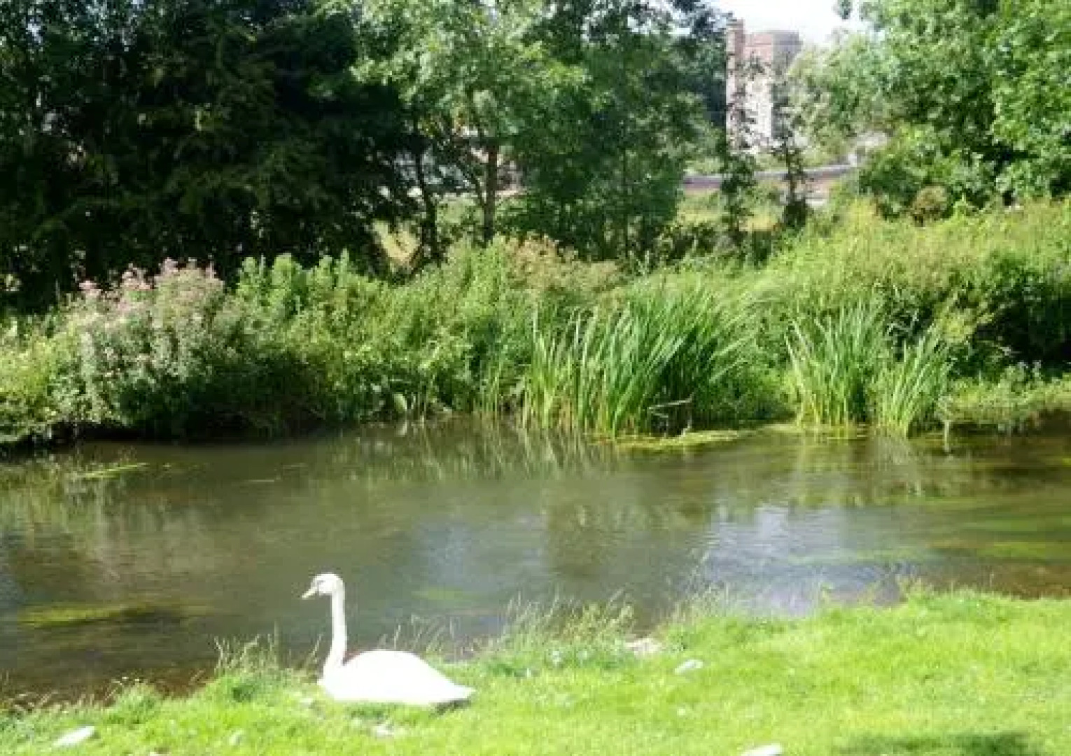 The Old Bakery, Long Street