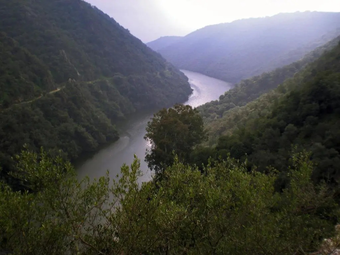 Centro de Naturaleza Cañada Verde