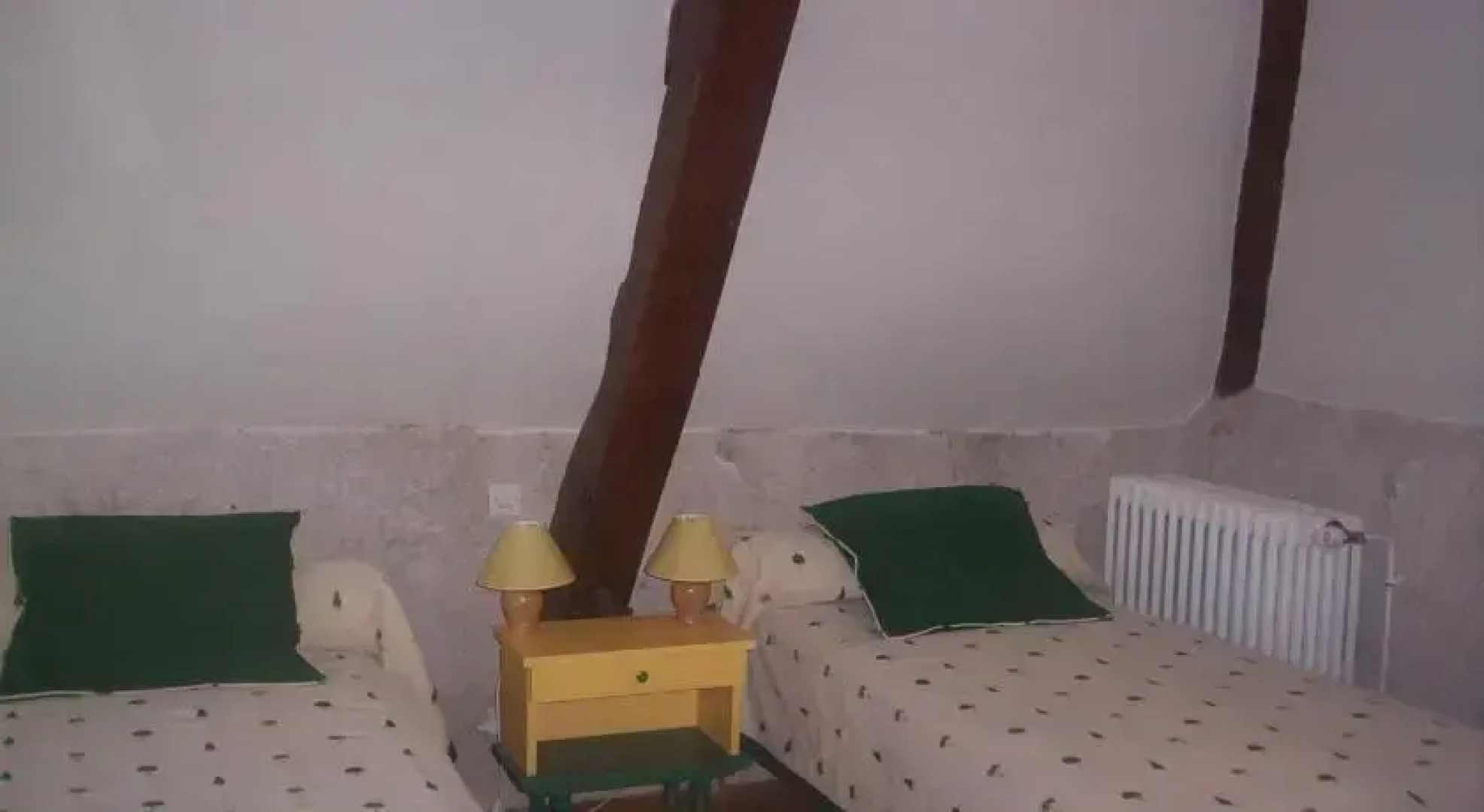 Le Moulin du Cluzeau