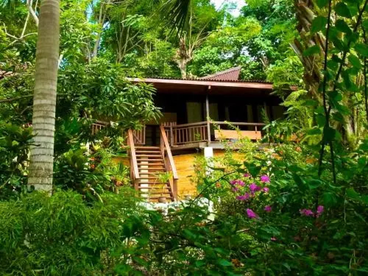 Bunaken Cha Cha Nature Resort