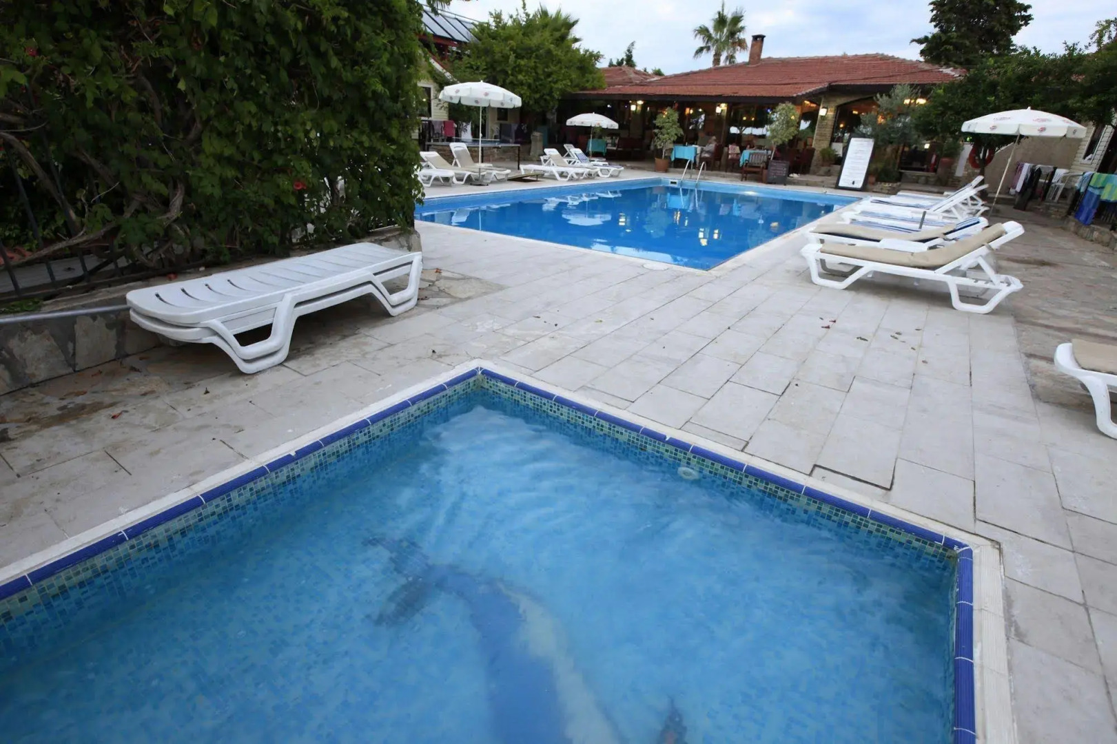 Отель Leda Beach