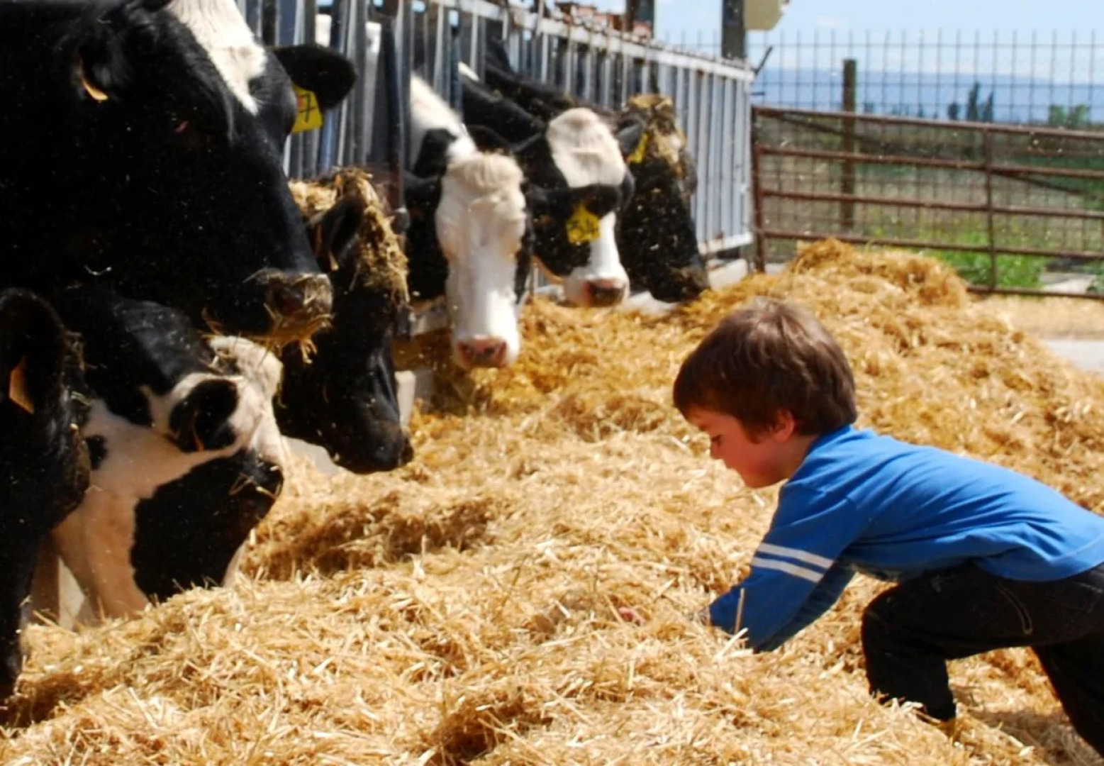 RuralSuite Hotel Apartamentos