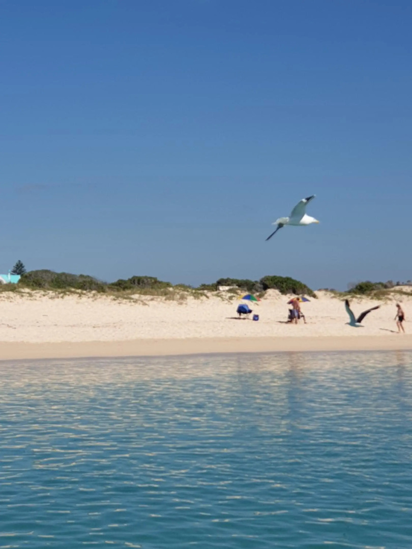 Spring Tide on 28 Main Struisbaai