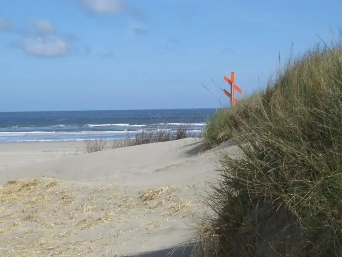 House Flora, Golden Knoepke