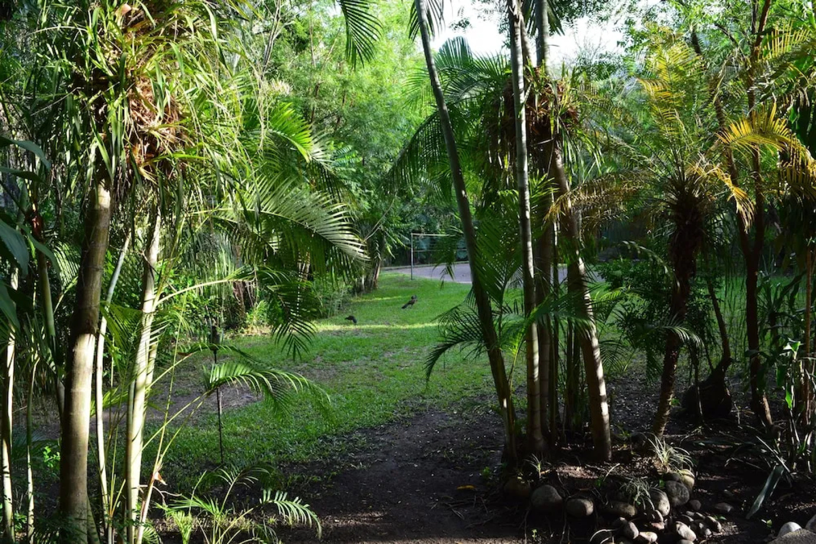 Río Aventura Expediciones