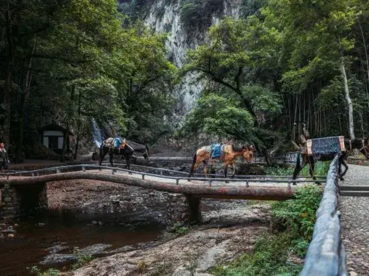 Yuan Chanyue Homestay (Wuxie Branch)