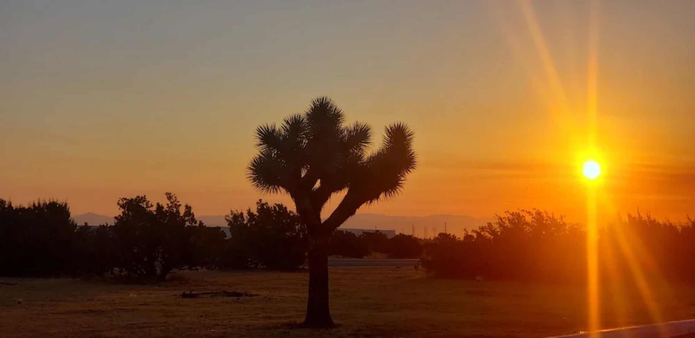 Studio 6 Suites Hesperia, CA – West Main Street – I-15