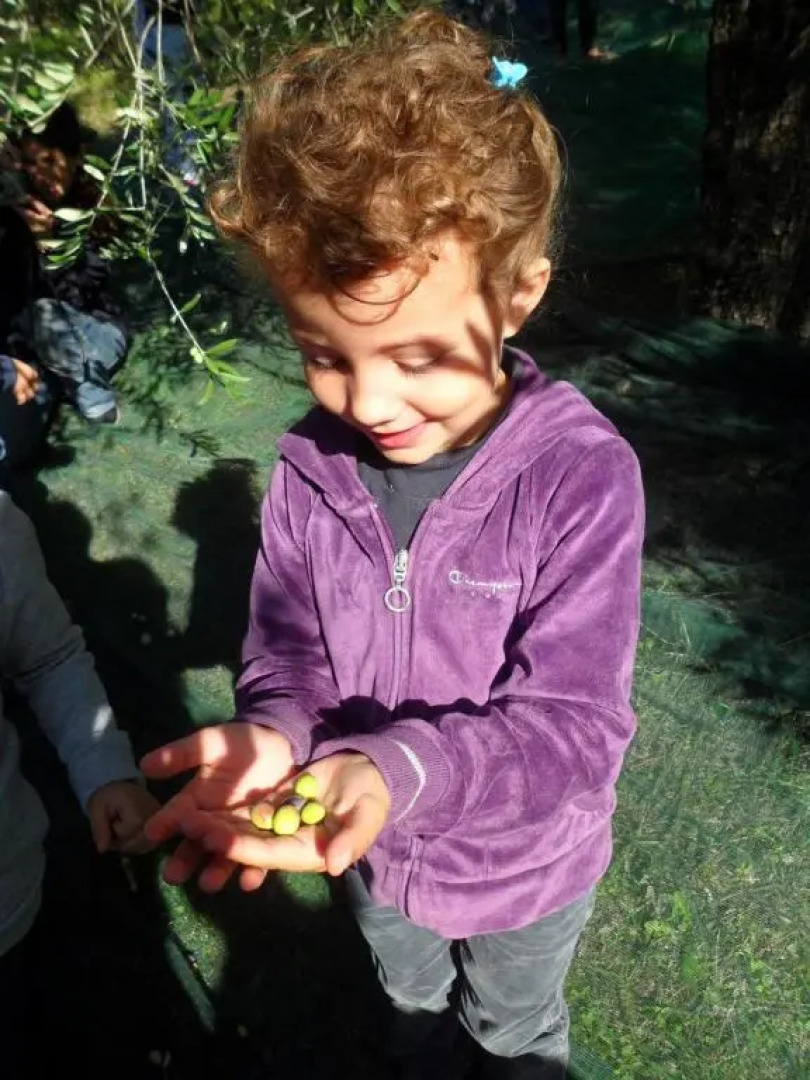 Agriturismo Antico Loggiato