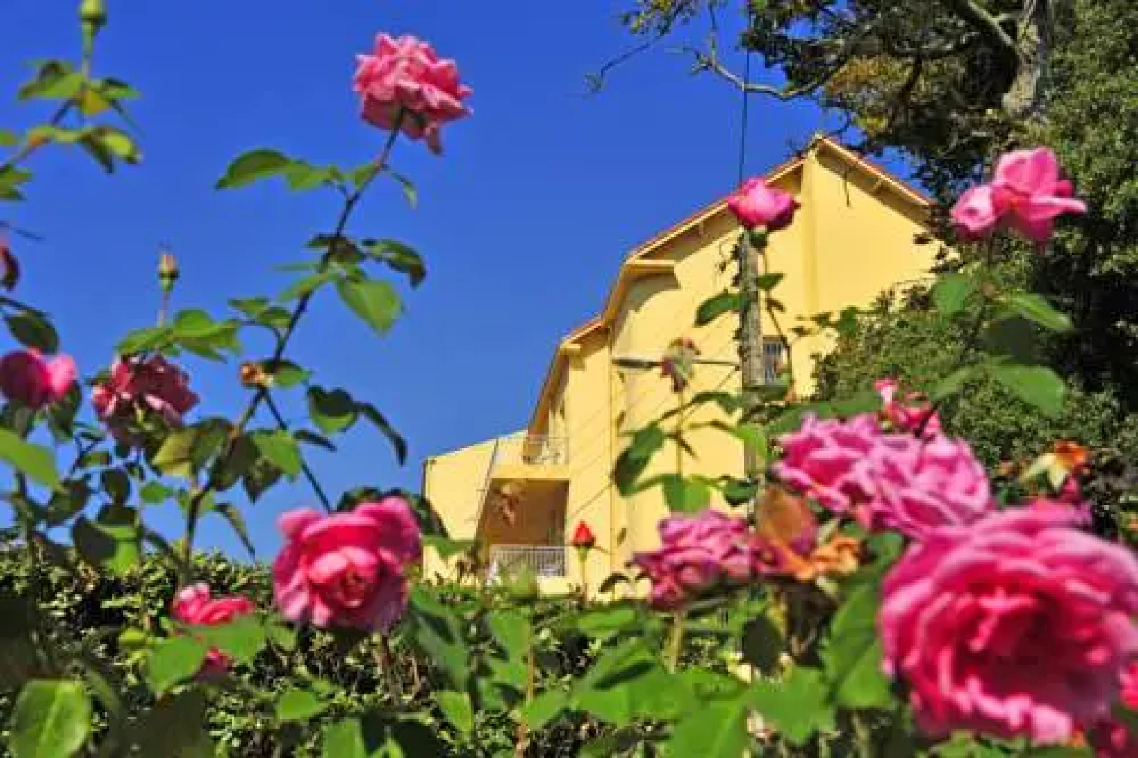 Résidence Fleur De Thé