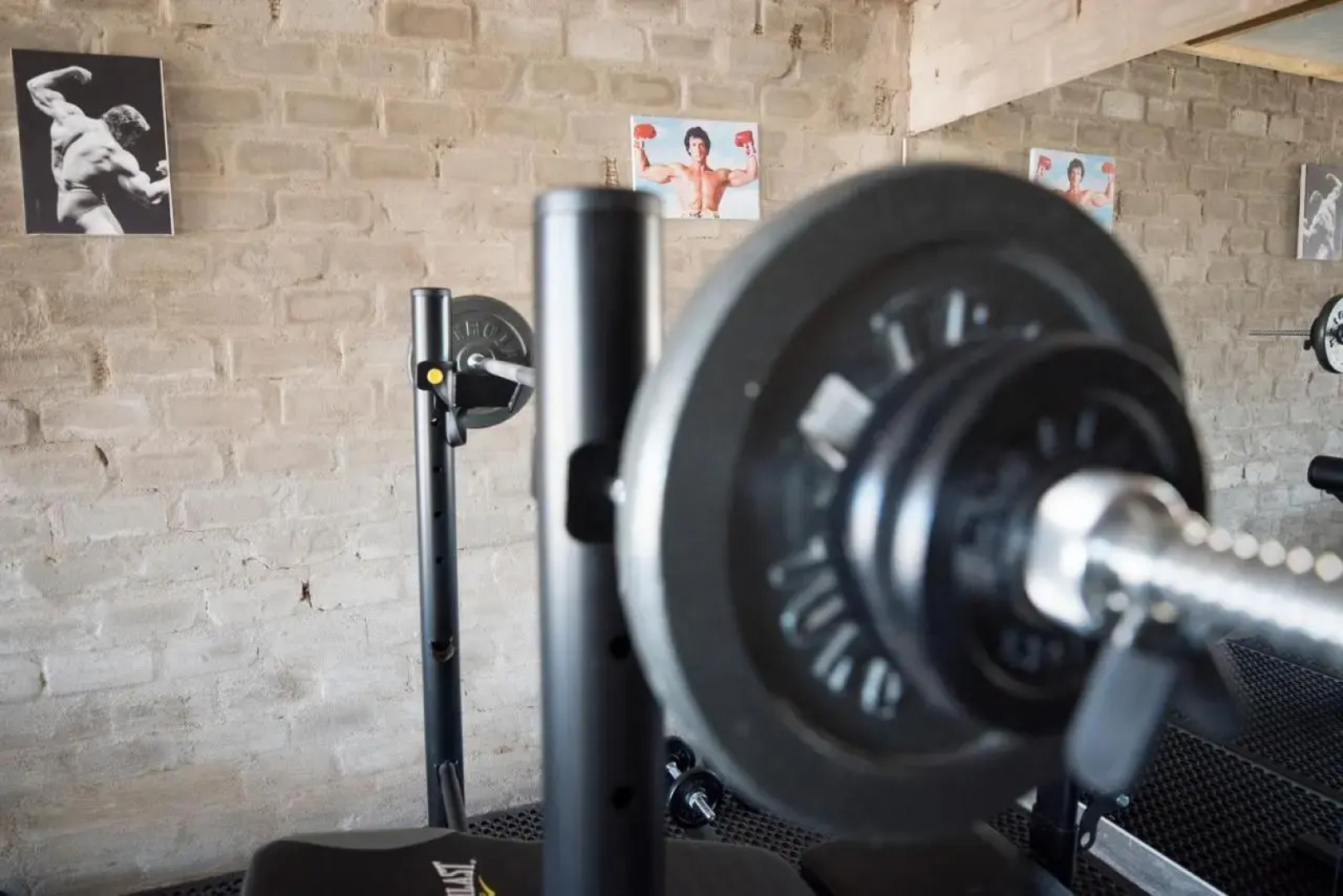 Dornhuegel Guest Farm