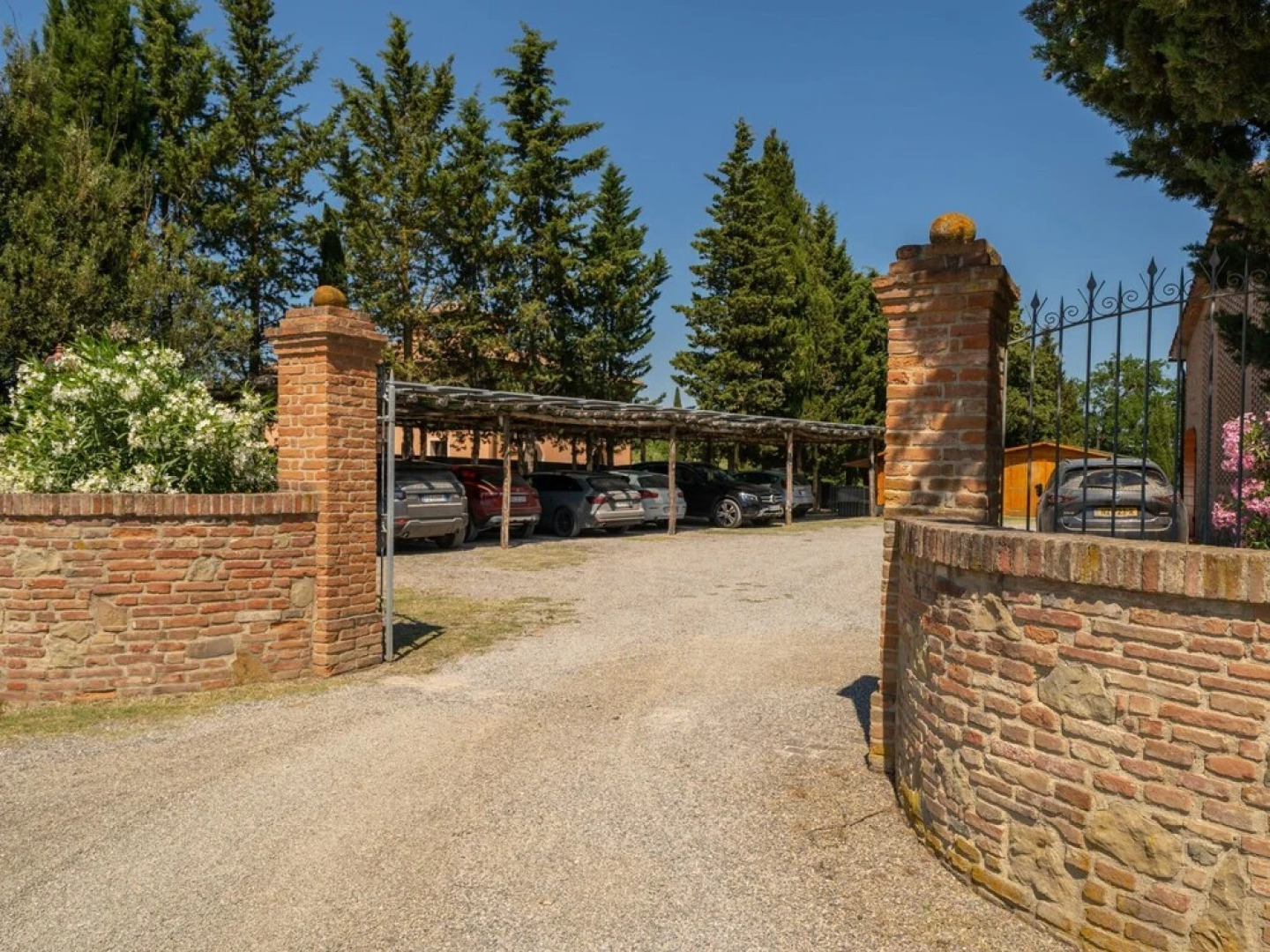 Viola Montelopio in Montelopio