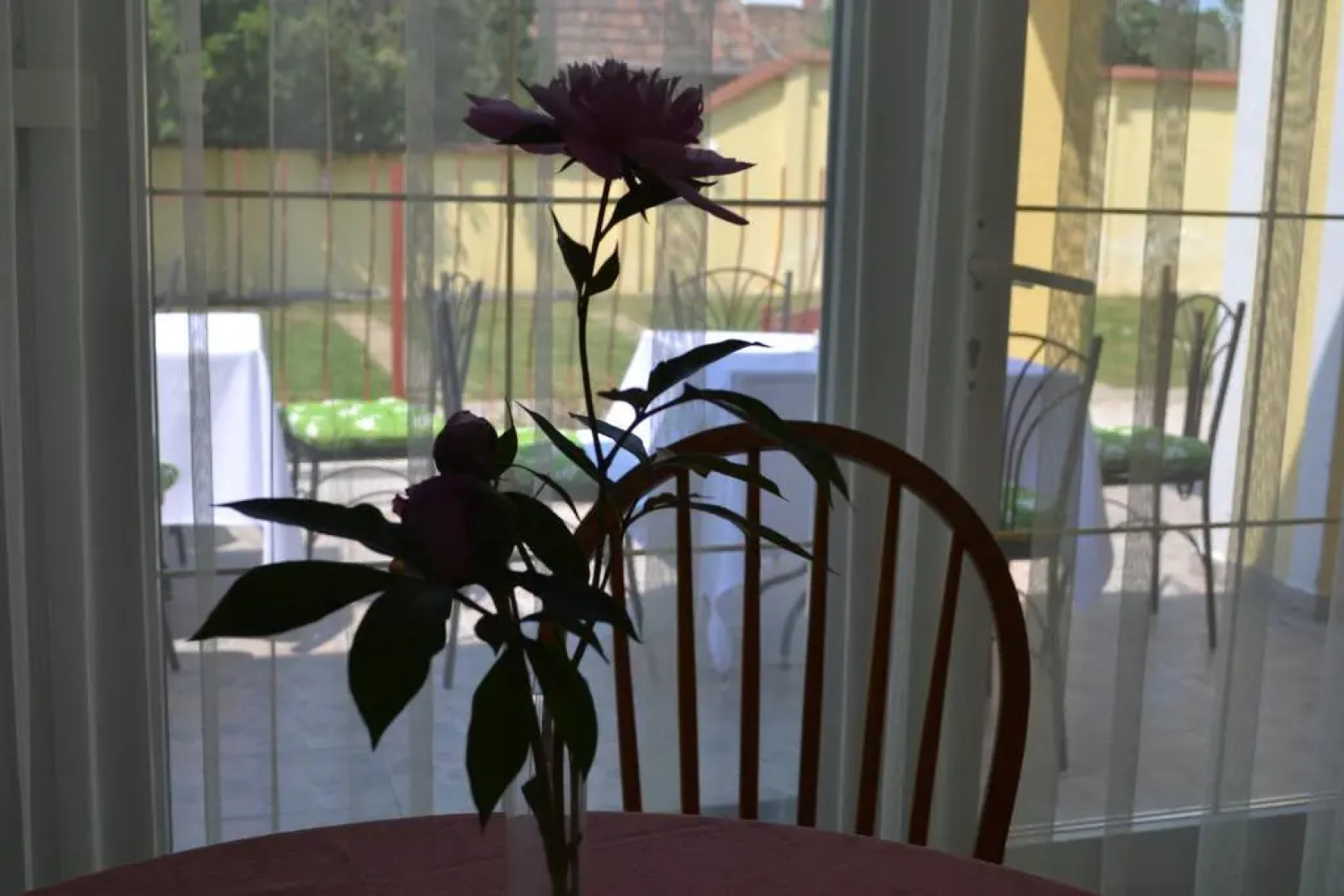 Kiskut Liget Pension