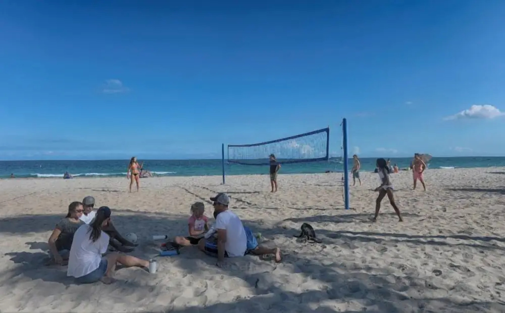 Wilton Way Orchid House