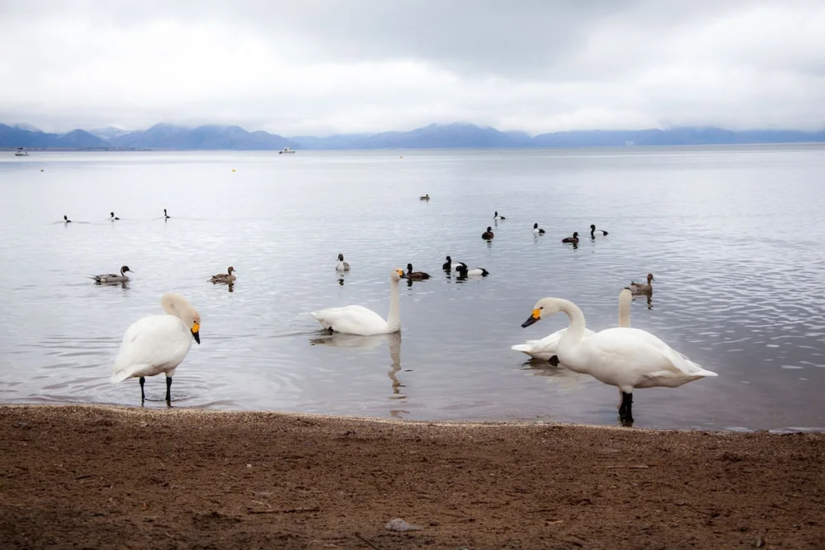 Shousuke no Yado Takinoyu