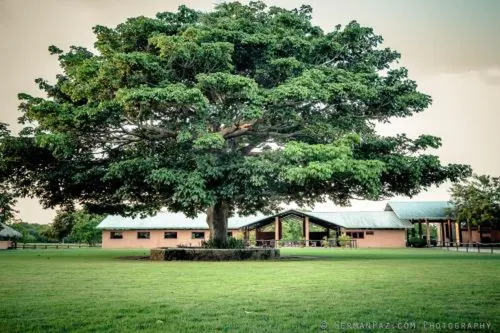 Sea Horse Ranch Villa #75