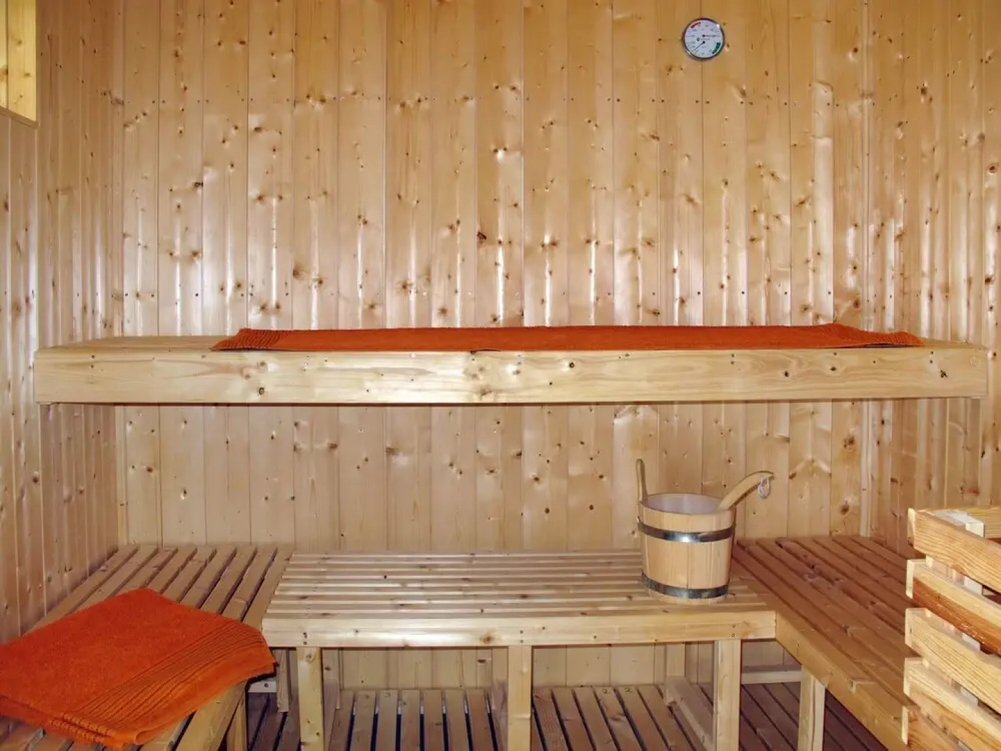 Sanddorn Altef hr in Altef hr