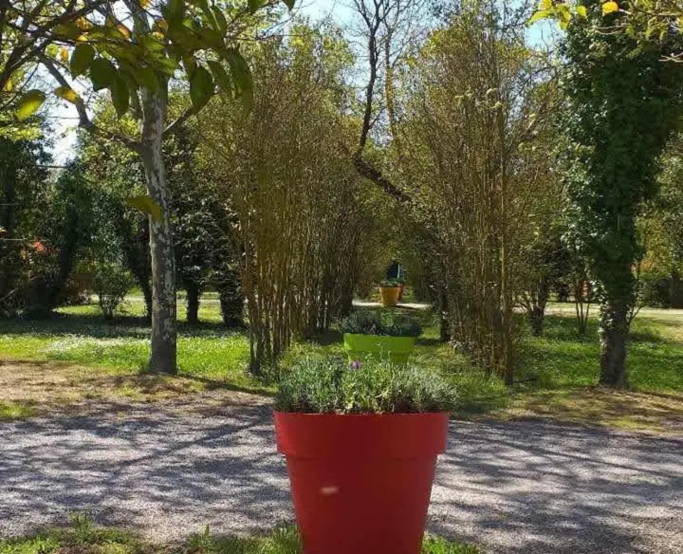 Mobil home 3 chambres climatisé