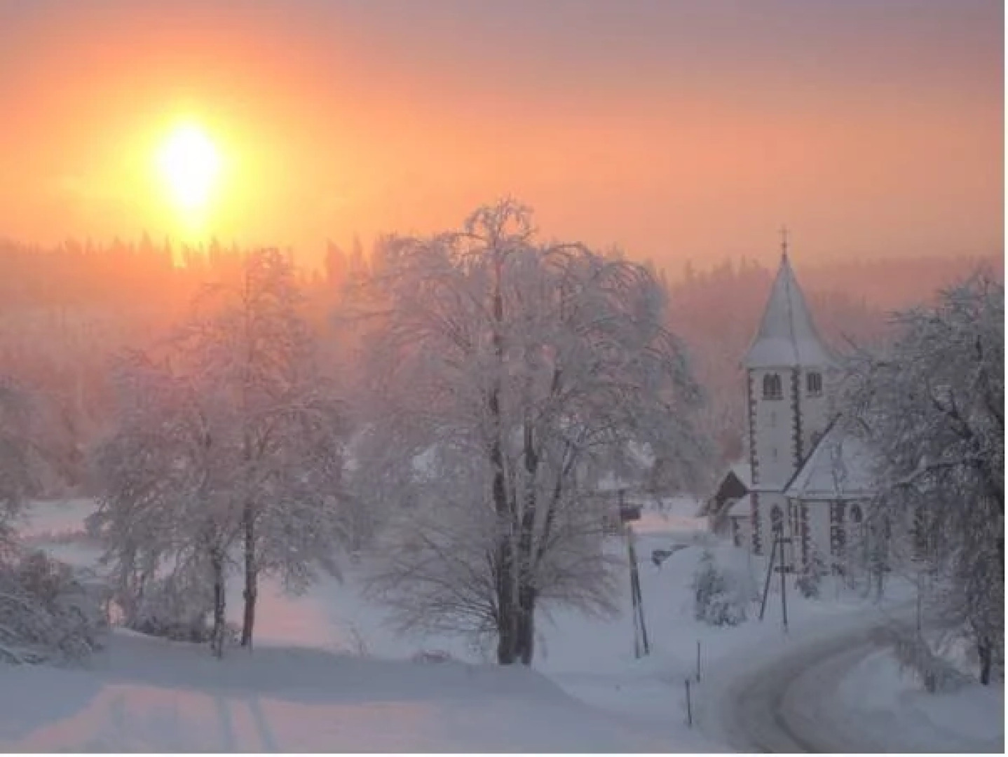 Hotel Schwarzwald Kniebis