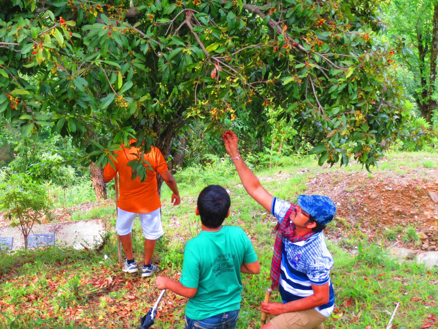 Himalaya Darshan Resort