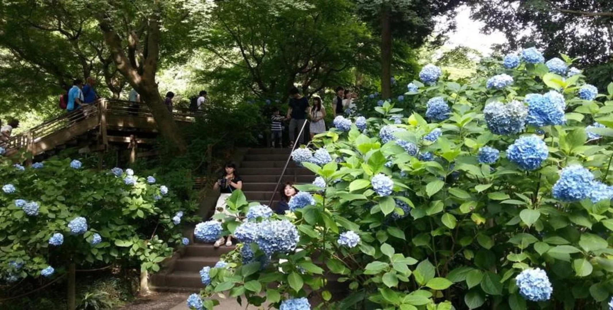 Enoshima Guest House 134