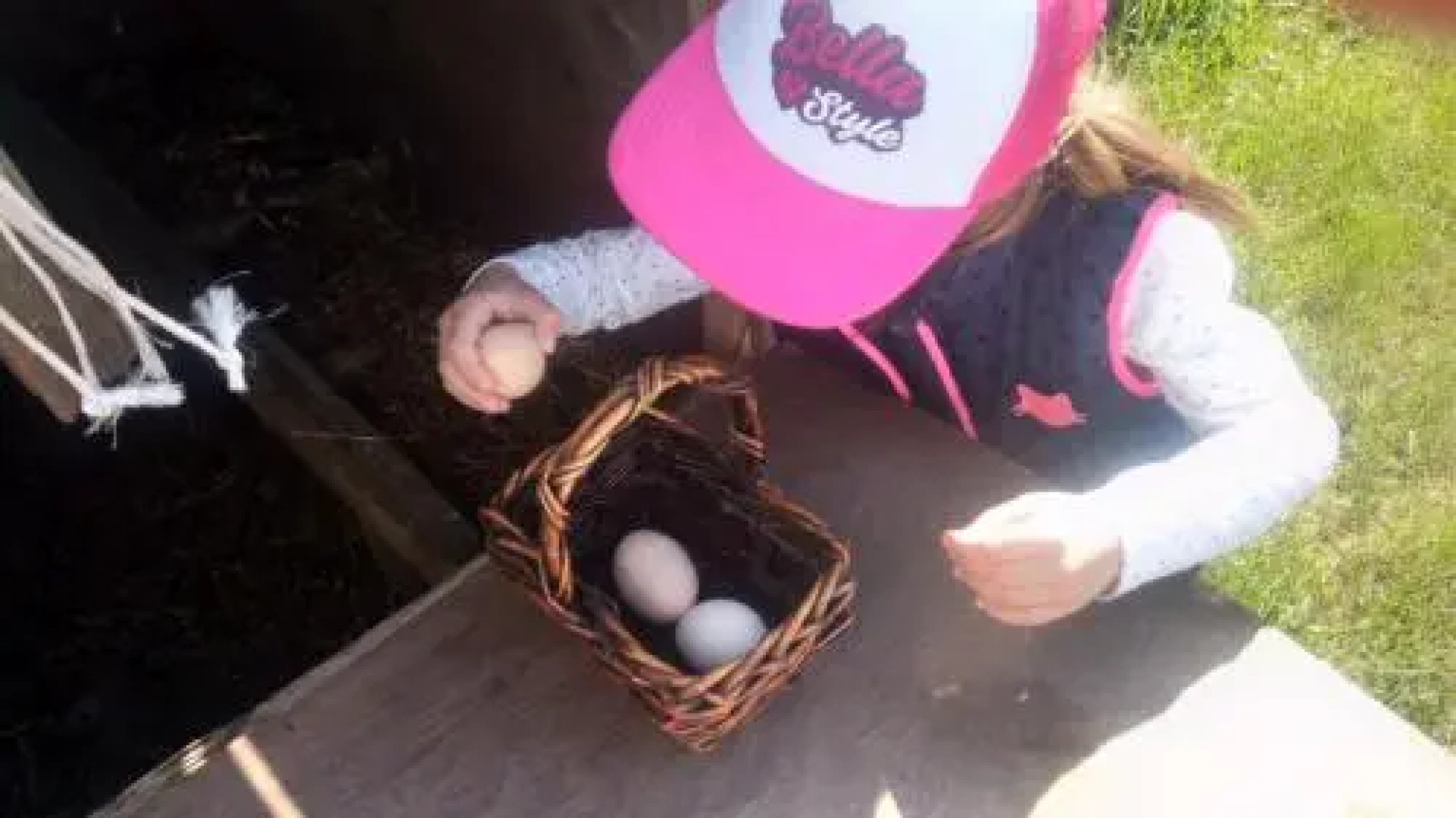 Agroturystyka Szyszka