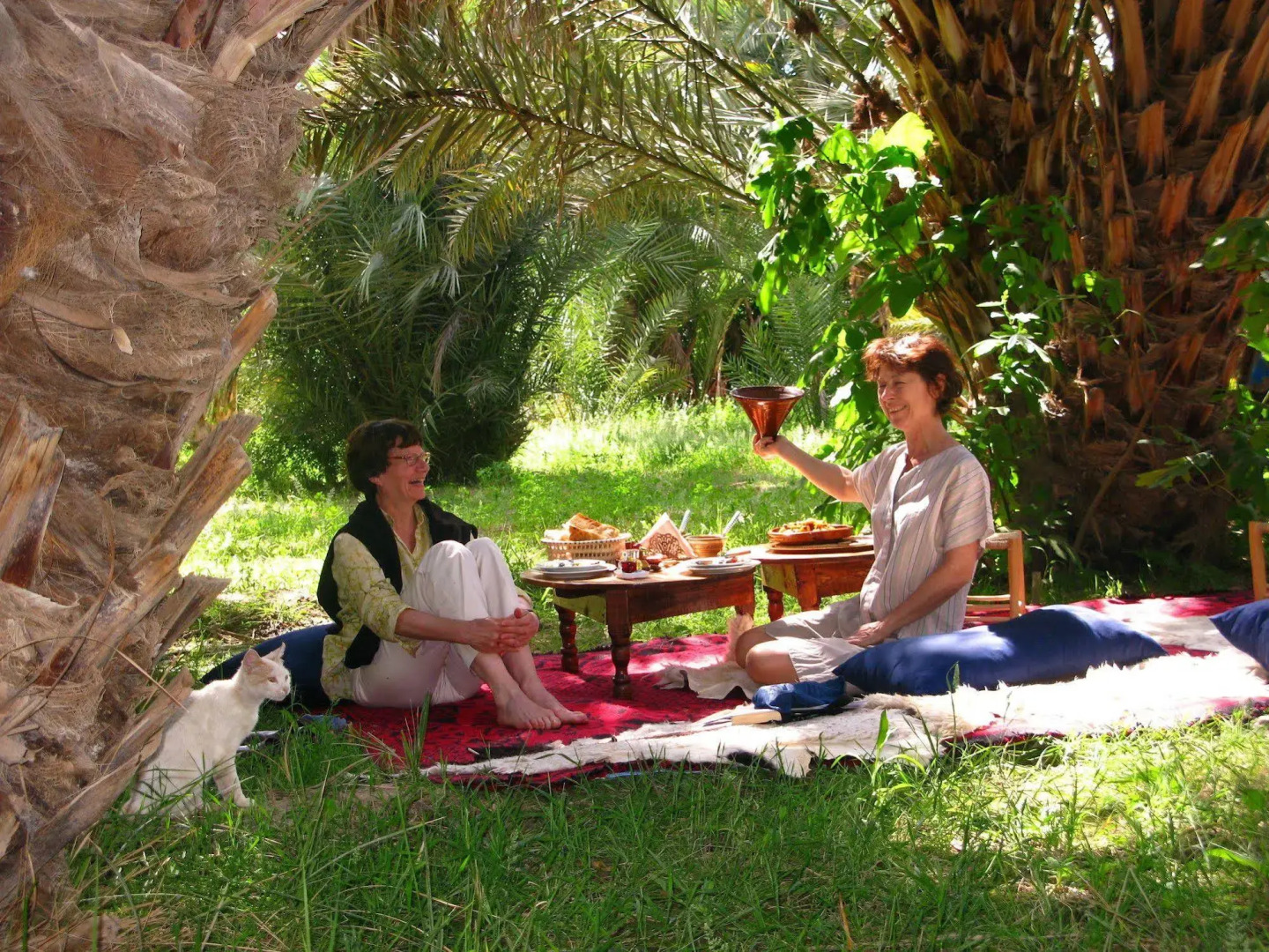 Gîte Dans la Palmeraie