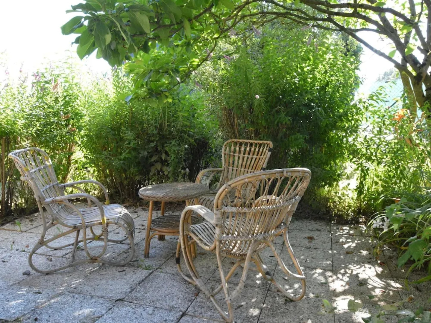 Spacious House With Beautiful Terrace