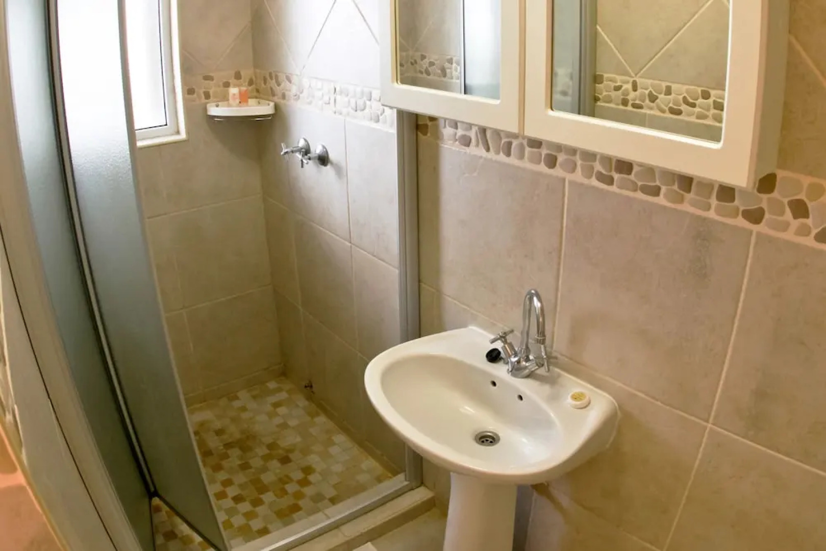 First Group Desert Rose