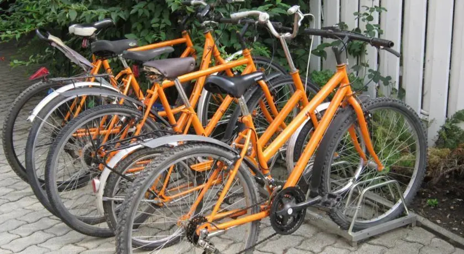 Kis Szárcsa Vendégház