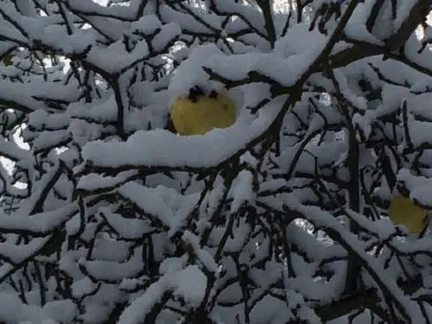 Ferienwohnungen direkt am Wasser