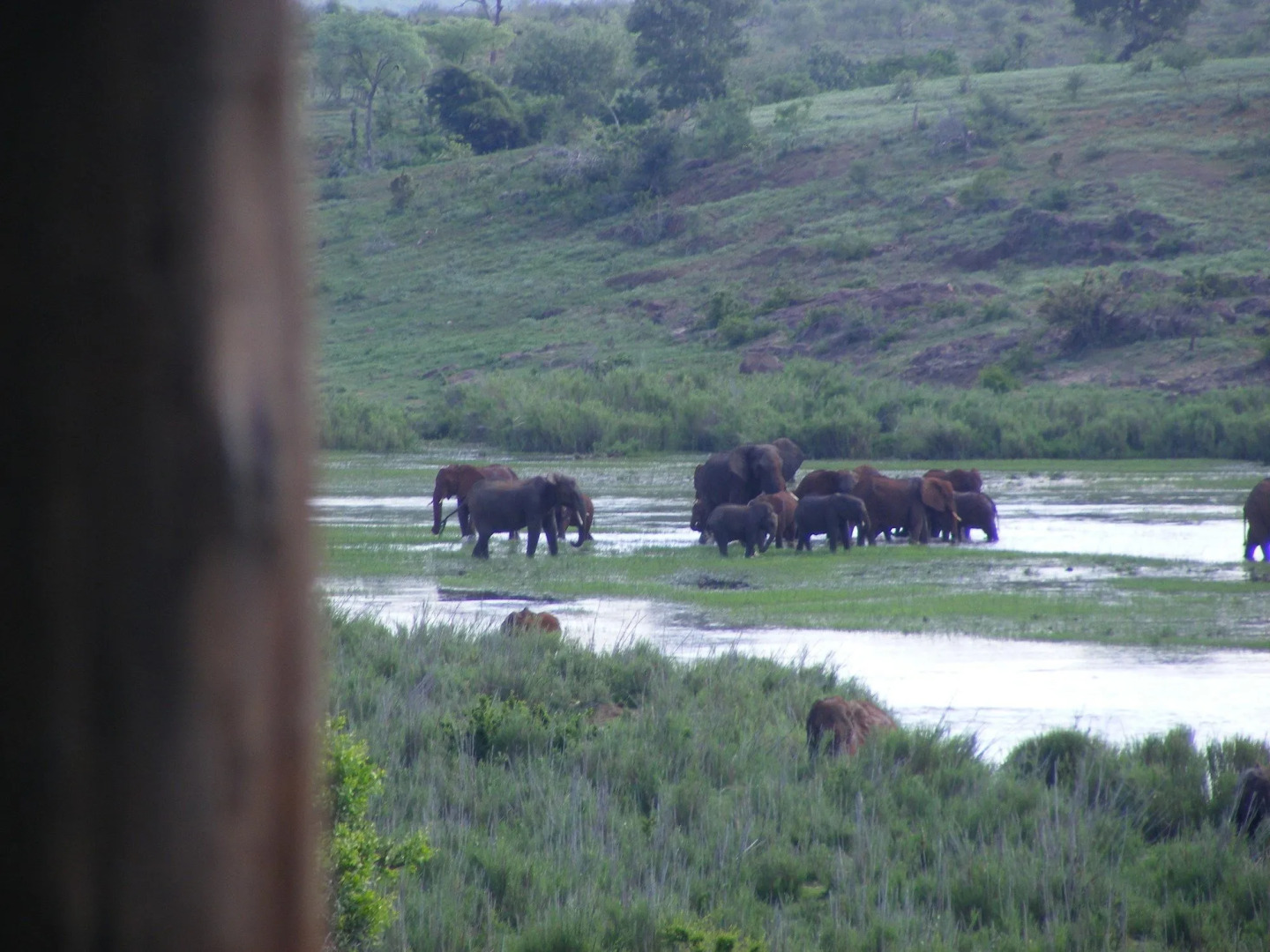 Elephant Walk Retreat