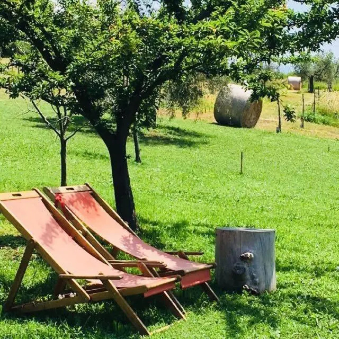 La Collina Degli Ulivi