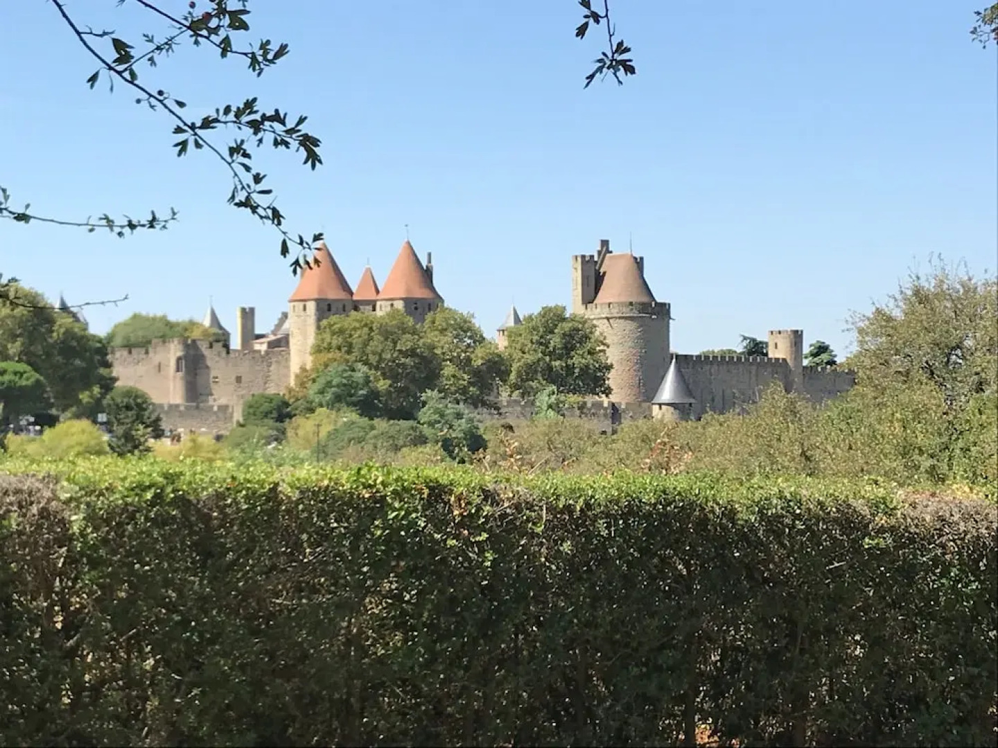 Le Jardin De La Cite