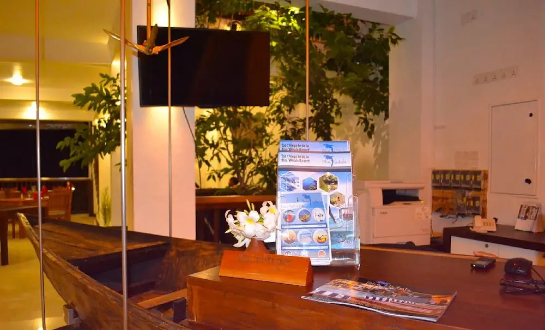 Blue Whale beach boutique Resort