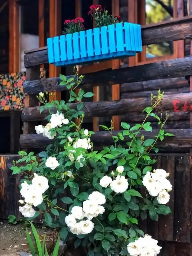 ZeytinDagi Bungalow Butik Otel