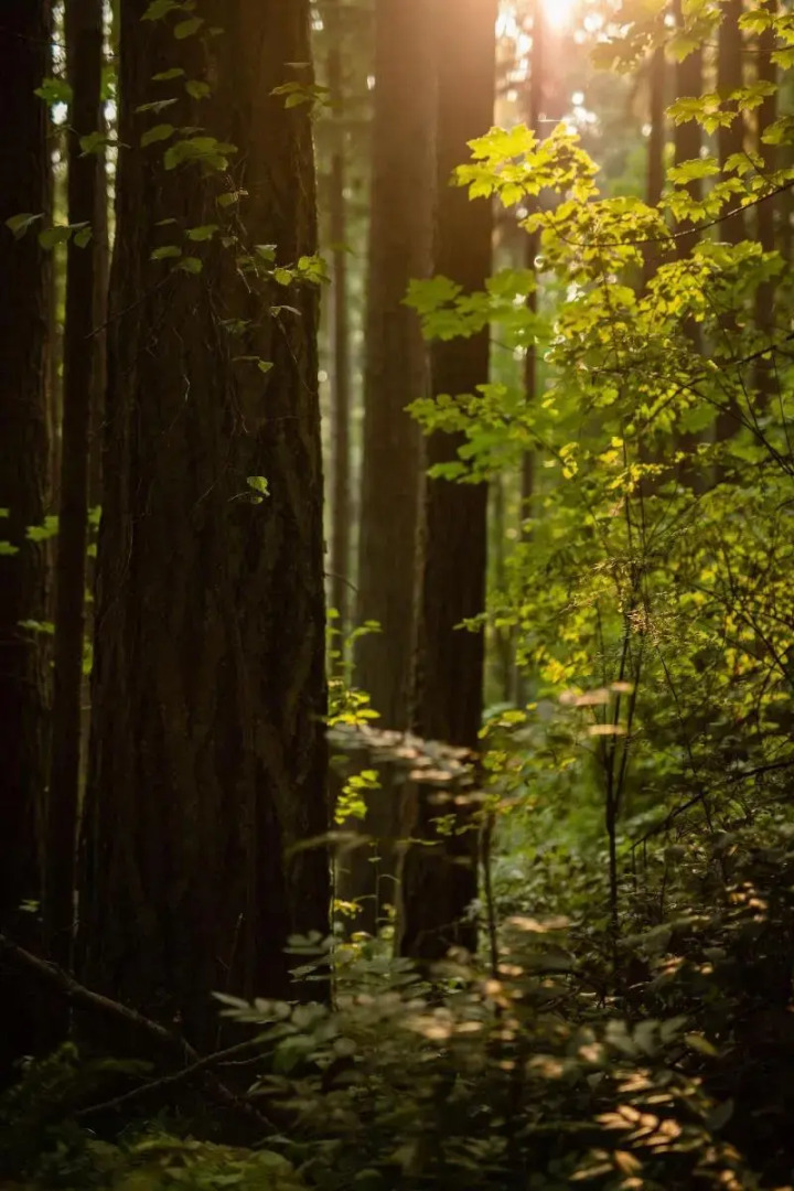 The Lodge at St Edward Park