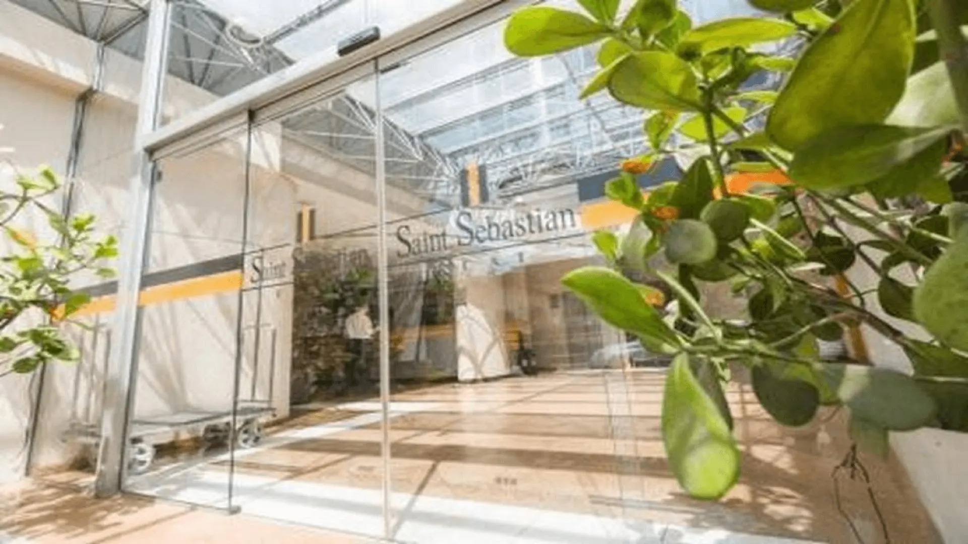 Saint Sebastian Flat 206 - Com Hidro! até 4 pessoas, Duplex, no centro