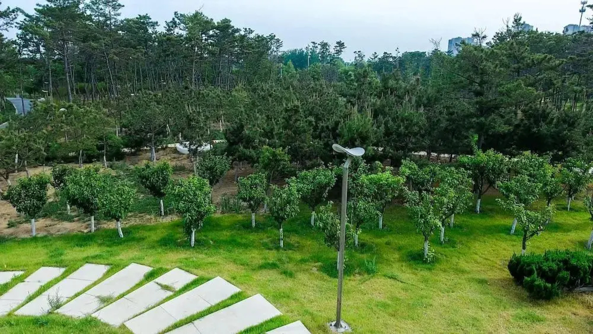 Marriott Yantai Hotel