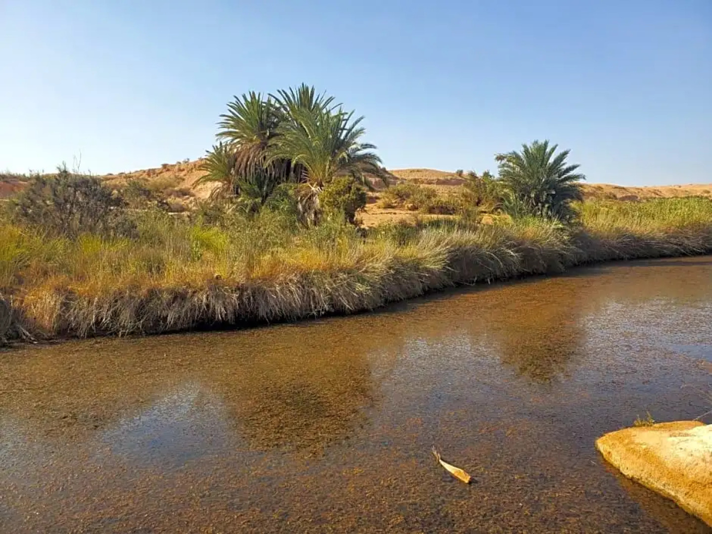 Maison L'étoile Du Désert