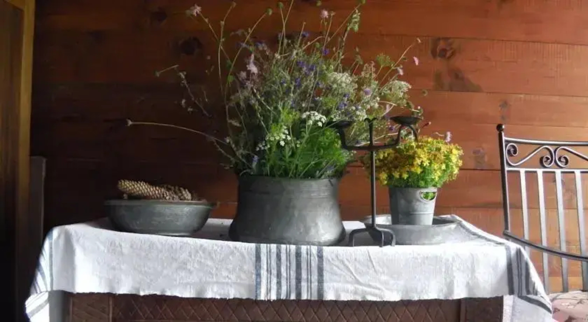 Darina Bed & Breakfast