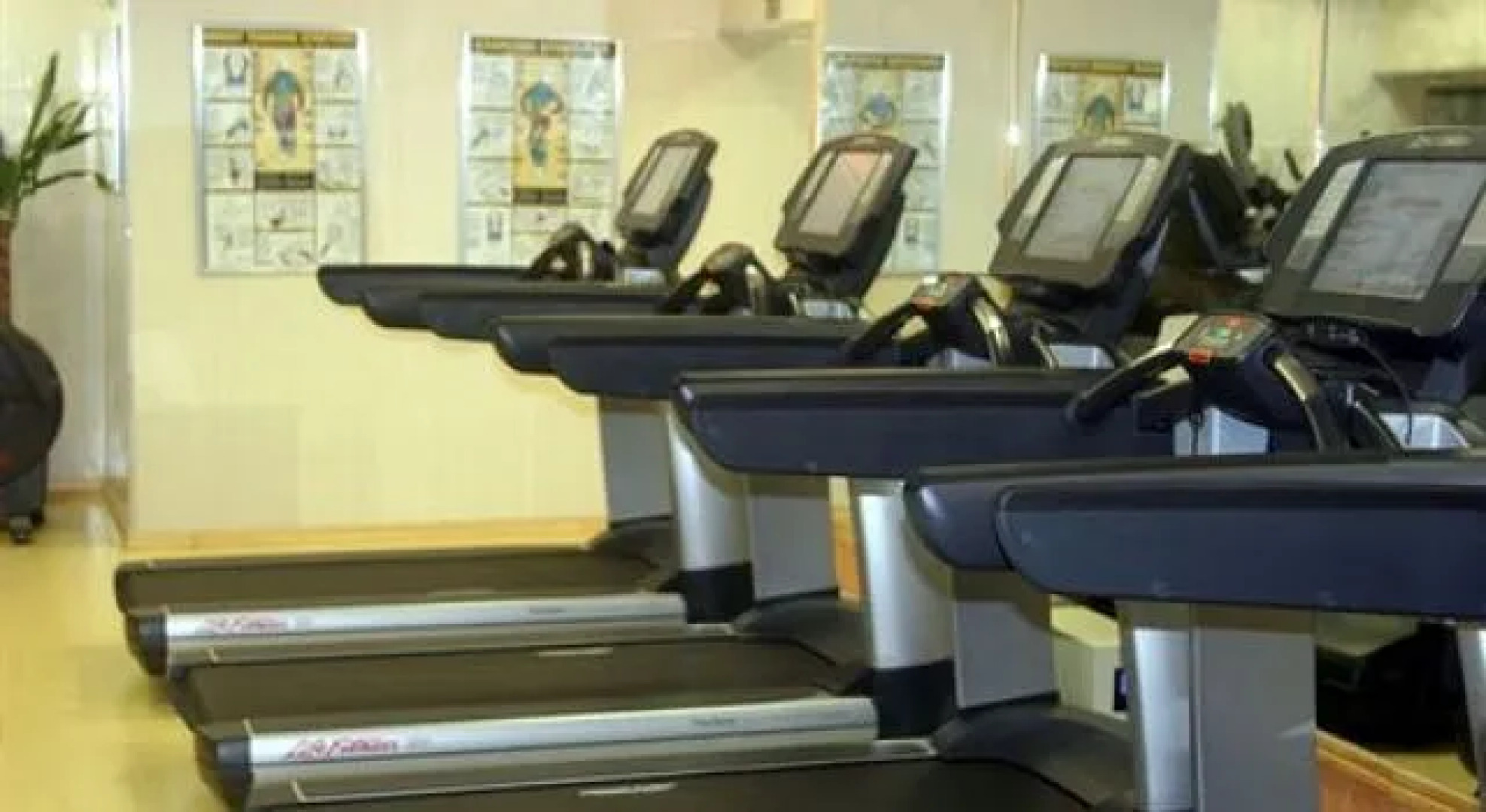 Sunfit International