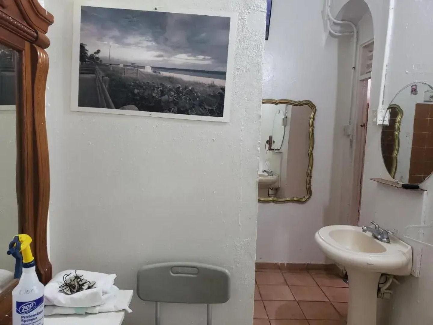 Denizens by Tripgogo